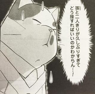 nekodomo_08_sam2.jpg