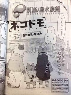 nekodomo_09_sam.jpg